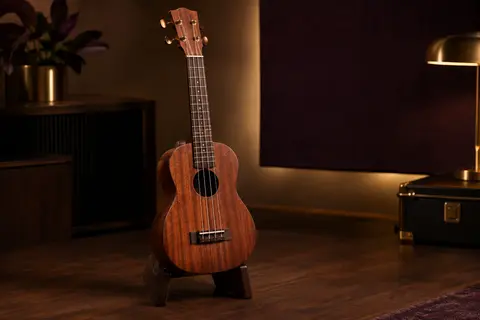Ukulélé concert acoustique en acajou posé sur un support en bois sombre, éclairé dans un décor chaleureux.