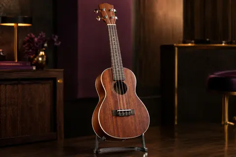 Ukulélé concert Kala en acajou satiné, bordure crème brillante et mécaniques chromées sur un support sobre.