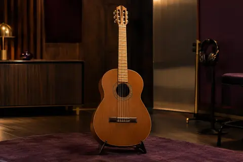 Guitare classique Max SoloArt marron à cordes en nylon, présentée seule dans un studio chaleureux.