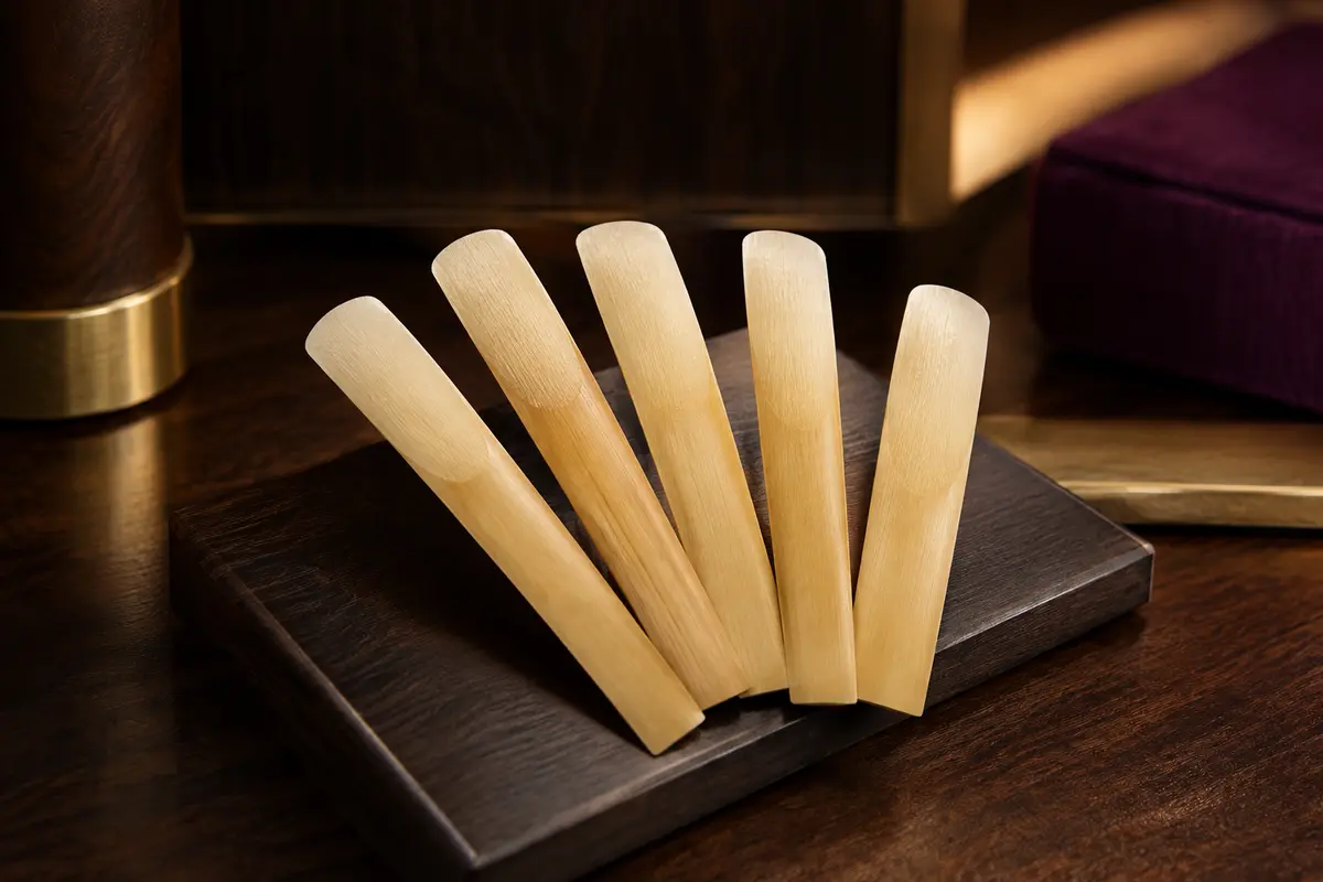 Anches en canne pour saxophone alto, disposées en éventail sur un support sombre